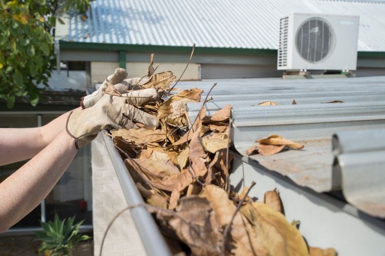 Important Facts To Help You Clean and Maintain Your Gutters Safely