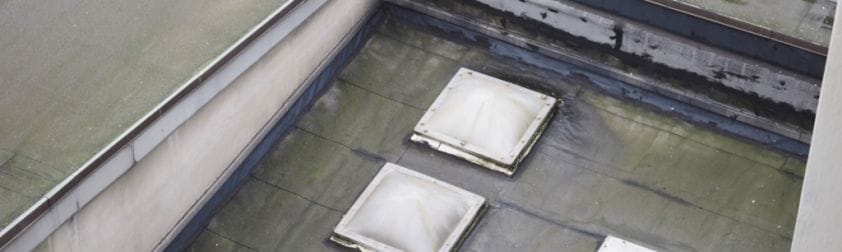 How to identify mold on your roof