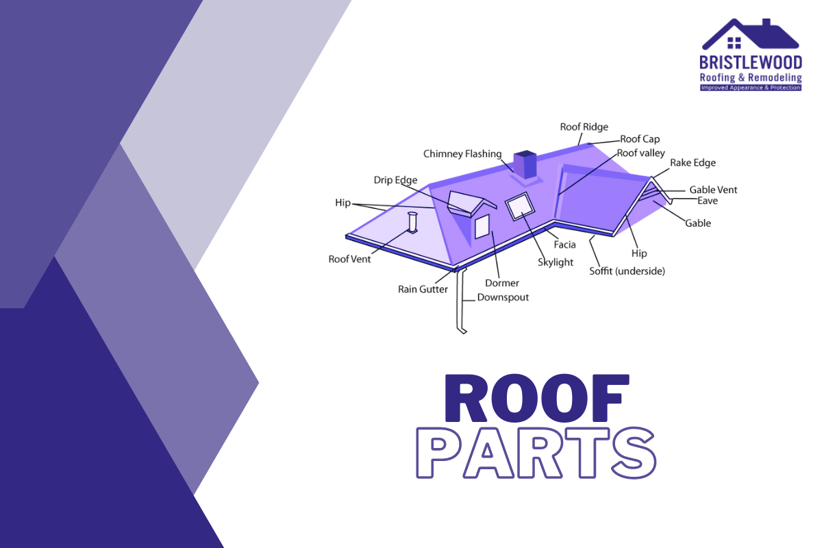 Roof Anatomy 101: A Fascinating Guide to Roof Terminology and Explanations