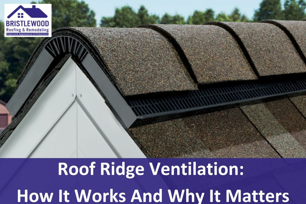 All About Roof Ridge Ventilation: How It Works And Why It Matters